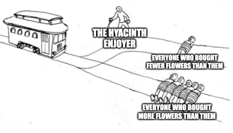 Trolley Problem meme: Person at lever is labelled “THE HYACINTH ENJOYER”. Individual person on shunt track is labelled “EVERYONE WHO BOUGHT FEWER FLOWERS THAN THEM”. Five people on main track are labelled “EVERYONE WHO BOUGHT MORE FLOWERS THAN THEM”.