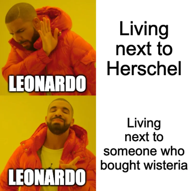 Drakeposting meme: In both panels, Drake is labelled with “LEONARDO”. In the first panel, Drake holds his hand up as if to push away the text “Living next to Herschel”. In the second panel, Drake smiles next to the text “Living next to someone who bought wisteria”.